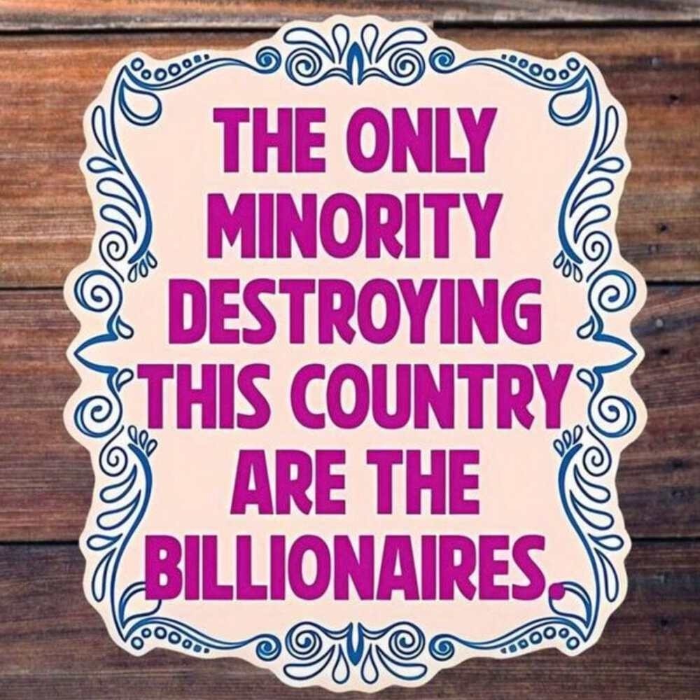 Whit's Up Shop Only Minority Destroying This Country Billionaires Sticker Decal
